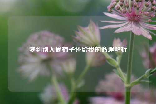 梦到别人摘柿子还给我的命理解析