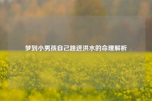 梦到小男孩自己跳进洪水的命理解析