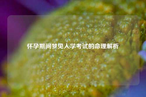 怀孕期间梦见入学考试的命理解析