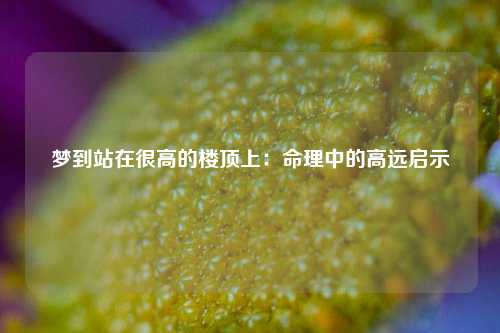 梦到站在很高的楼顶上:命理中的高远启示