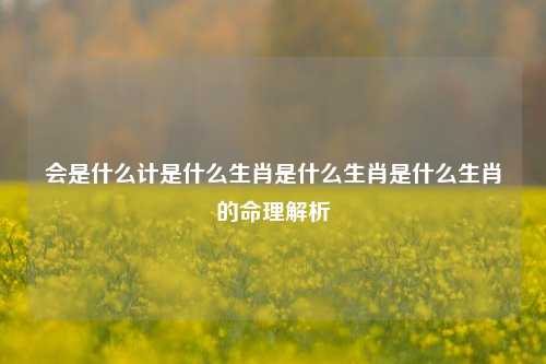 会是什么计是什么生肖是什么生肖是什么生肖的命理解析